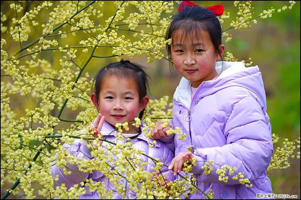 【春天,广西桂林灌阳县向您发出邀请!】米珠山前有片山苍子花在飘香 - 游山玩水 - 云浮生活社区 - 云浮28生活网 yf.28life.net