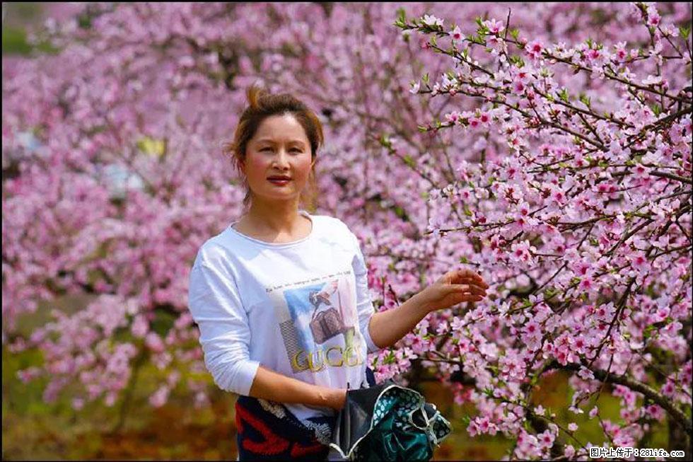 【春天,广西桂林灌阳县向您发出邀请!】官庄村有个醉美的桃花园 - 游山玩水 - 云浮生活社区 - 云浮28生活网 yf.28life.net