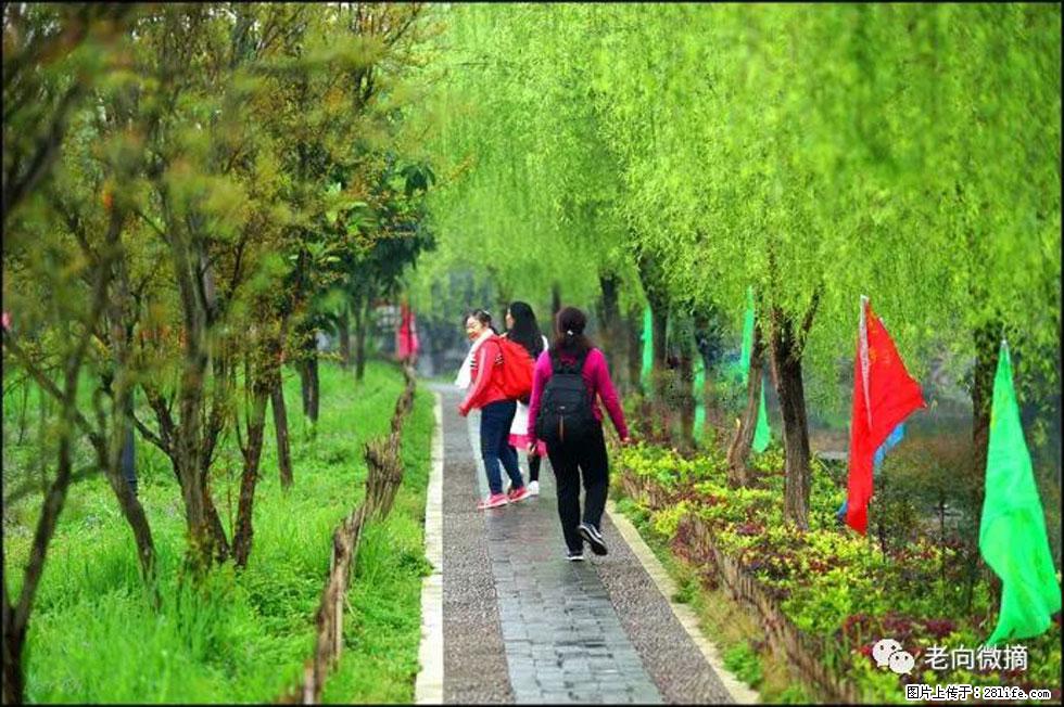 【春天，广西桂林灌阳县向您发出邀请！】江口老街又逢春 - 游山玩水 - 云浮生活社区 - 云浮28生活网 yf.28life.net
