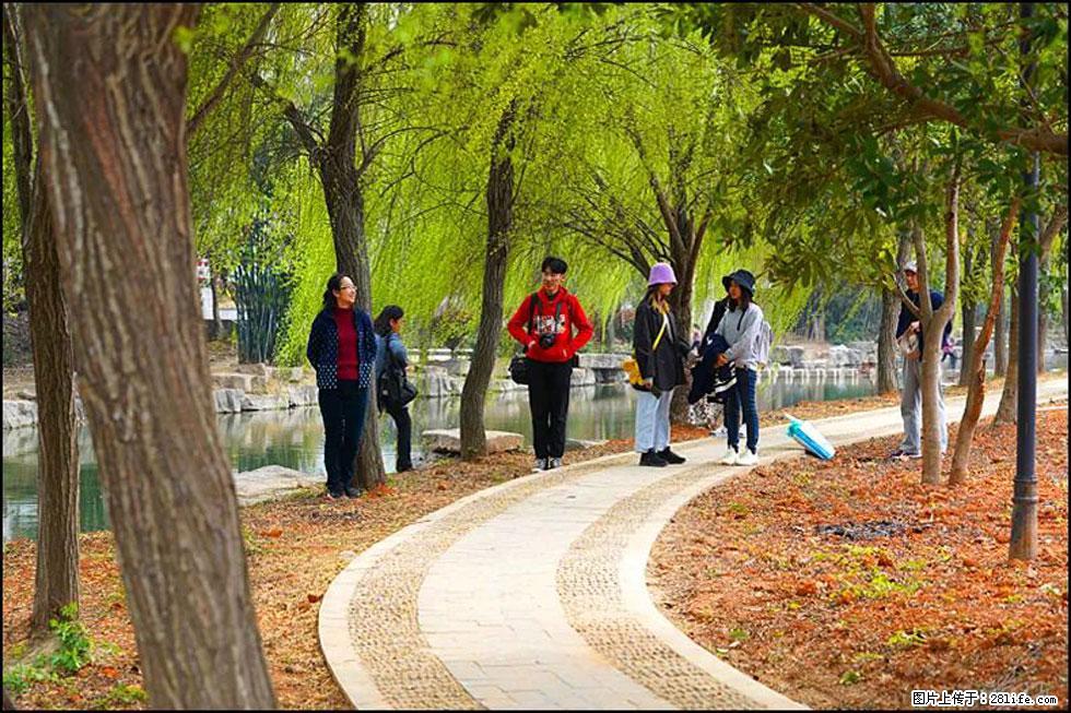 【春天，广西桂林灌阳县向您发出邀请！】江口老街又逢春 - 游山玩水 - 云浮生活社区 - 云浮28生活网 yf.28life.net