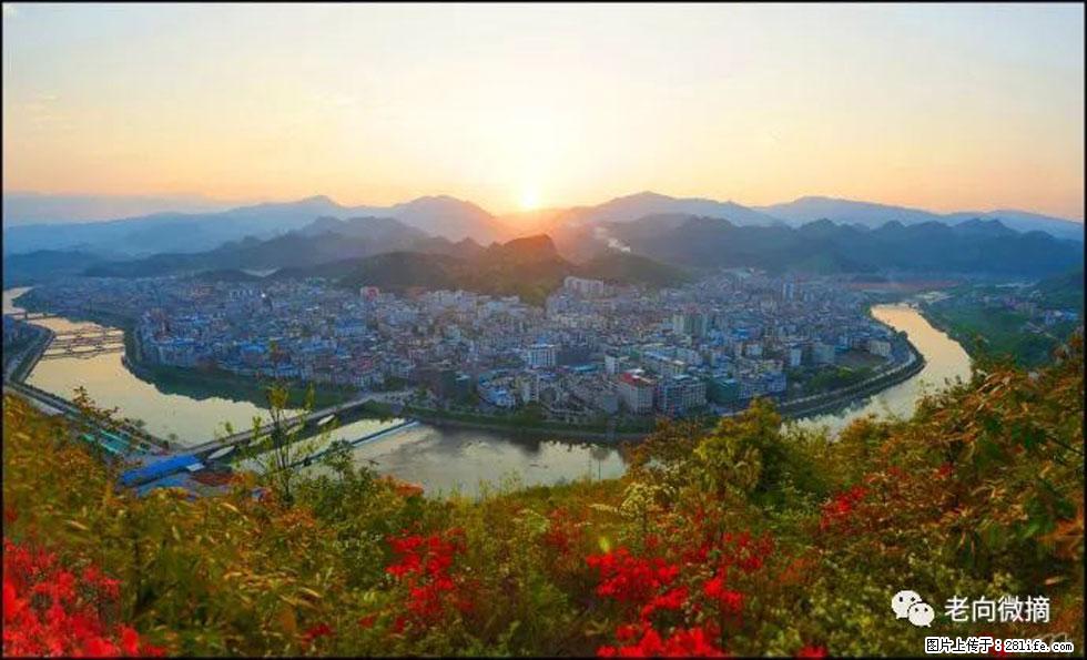 【春天，广西桂林灌阳县向您发出邀请！】登麒麟山，相约映山红 - 游山玩水 - 云浮生活社区 - 云浮28生活网 yf.28life.net