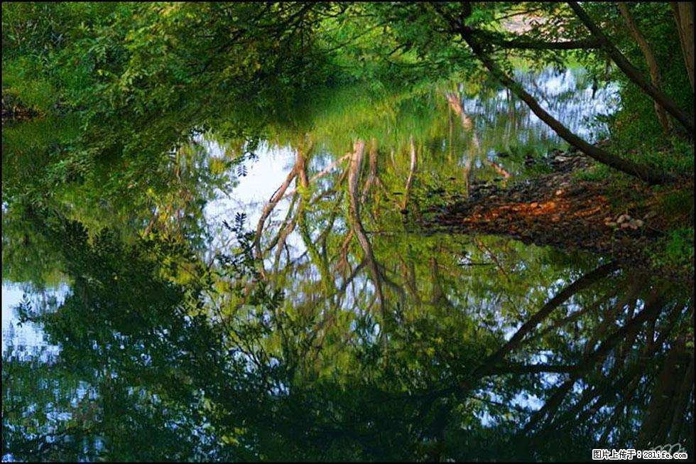 【春天，广西桂林灌阳县向您发出邀请！】熊家寨湿地公园 - 游山玩水 - 云浮生活社区 - 云浮28生活网 yf.28life.net