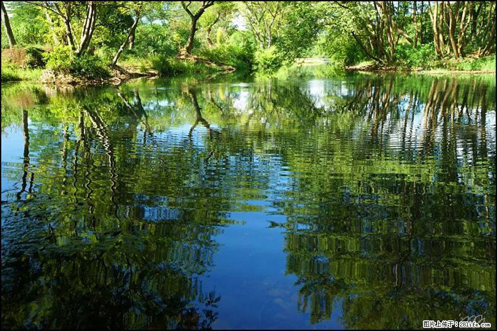 【春天，广西桂林灌阳县向您发出邀请！】熊家寨湿地公园 - 游山玩水 - 云浮生活社区 - 云浮28生活网 yf.28life.net