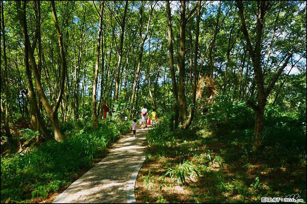 【春天，广西桂林灌阳县向您发出邀请！】熊家寨湿地公园 - 游山玩水 - 云浮生活社区 - 云浮28生活网 yf.28life.net