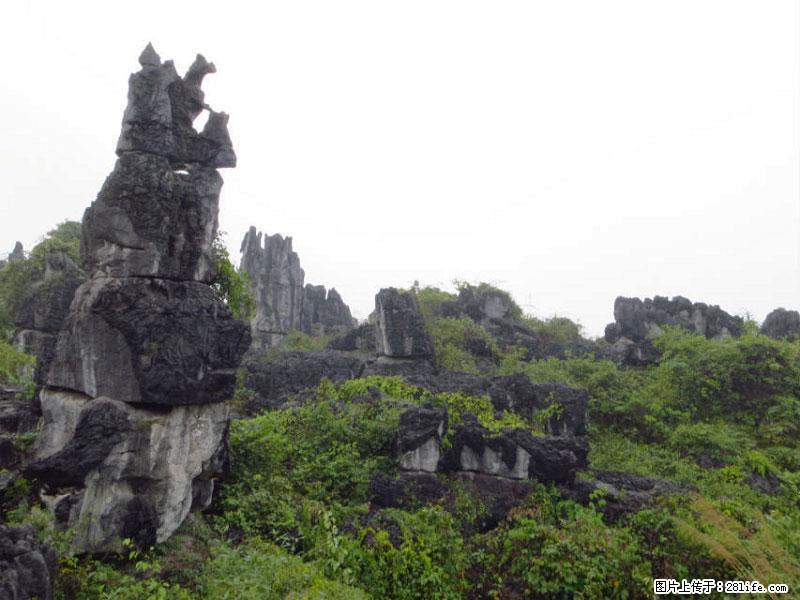 桂林旅游名城景点：灌阳文市石林 - 游山玩水 - 云浮生活社区 - 云浮28生活网 yf.28life.net