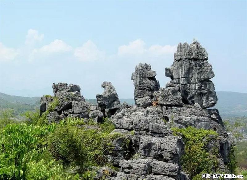 桂林旅游名城景点：灌阳文市石林 - 游山玩水 - 云浮生活社区 - 云浮28生活网 yf.28life.net