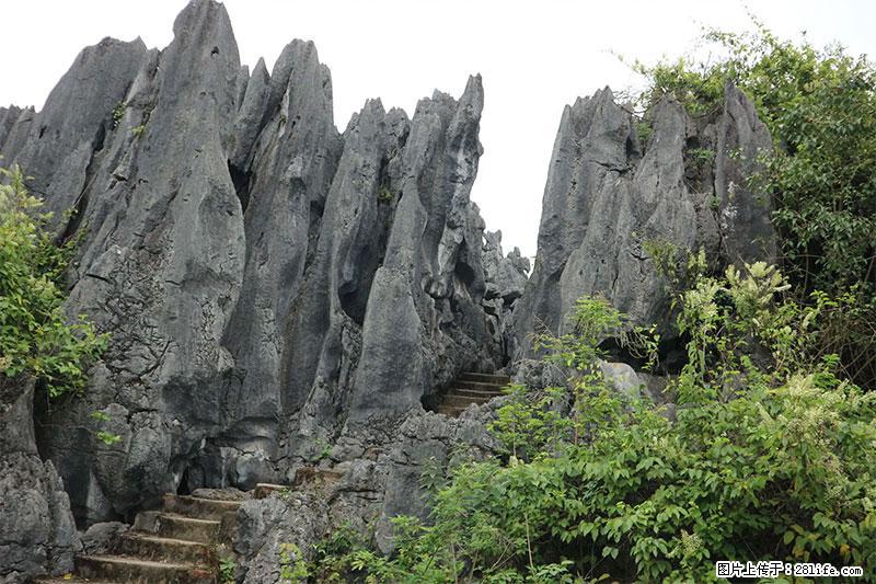 桂林旅游名城景点：灌阳文市石林 - 游山玩水 - 云浮生活社区 - 云浮28生活网 yf.28life.net
