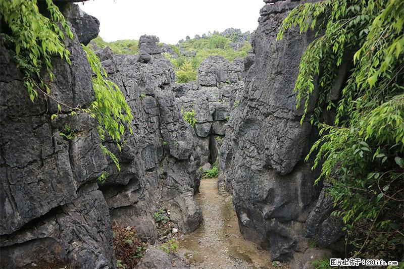 桂林旅游名城景点：灌阳文市石林 - 游山玩水 - 云浮生活社区 - 云浮28生活网 yf.28life.net