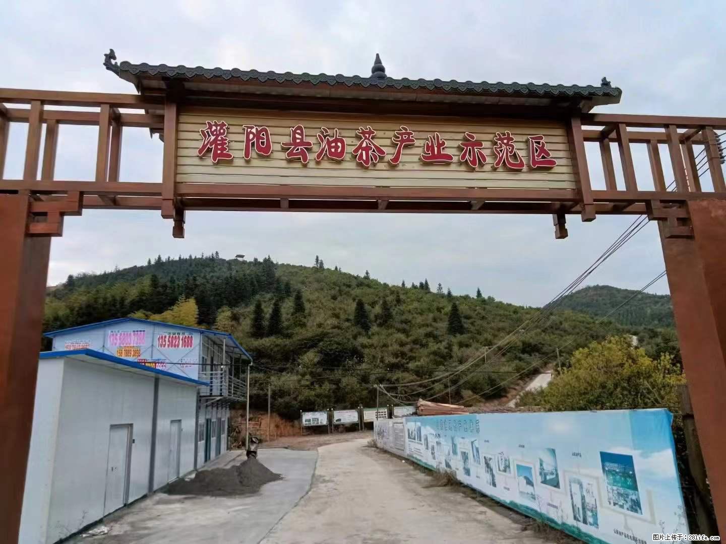 【灌阳县油茶产业示范区】一个有着充实的精神生活的人，对待身外之物自会有一种淡泊的态度 - 土特产 - 饮食特产 - 云浮分类信息 - 云浮28生活网 yf.28life.net