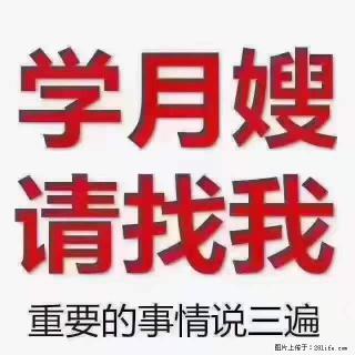 为什么要学习月嫂，育婴师？ - 云浮28生活网 yf.28life.net