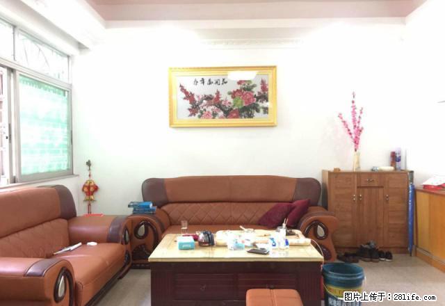 安居楼振华路 全屋豪华家私家电 拎包入住 另有大量房源租售 - 房屋出租 - 房屋租售 - 云浮分类信息 - 云浮28生活网 yf.28life.net