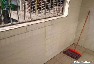 城西大坑边新楼全新末住过2至4楼，2房3房有阳台500元 起 - 云浮28生活网 yf.28life.net