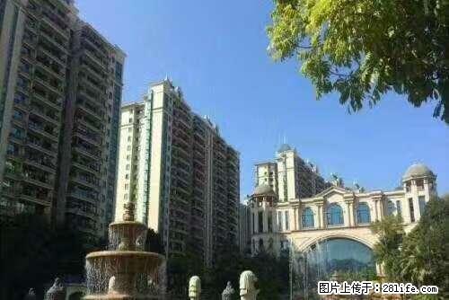 云城恒大城 2室2厅 精装修家电齐全2300 - 房屋出租 - 房屋租售 - 云浮分类信息 - 云浮28生活网 yf.28life.net