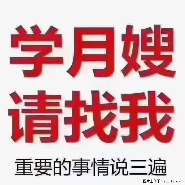 【招聘】月嫂，上海徐汇区 - 职场交流 - 云浮生活社区 - 云浮28生活网 yf.28life.net