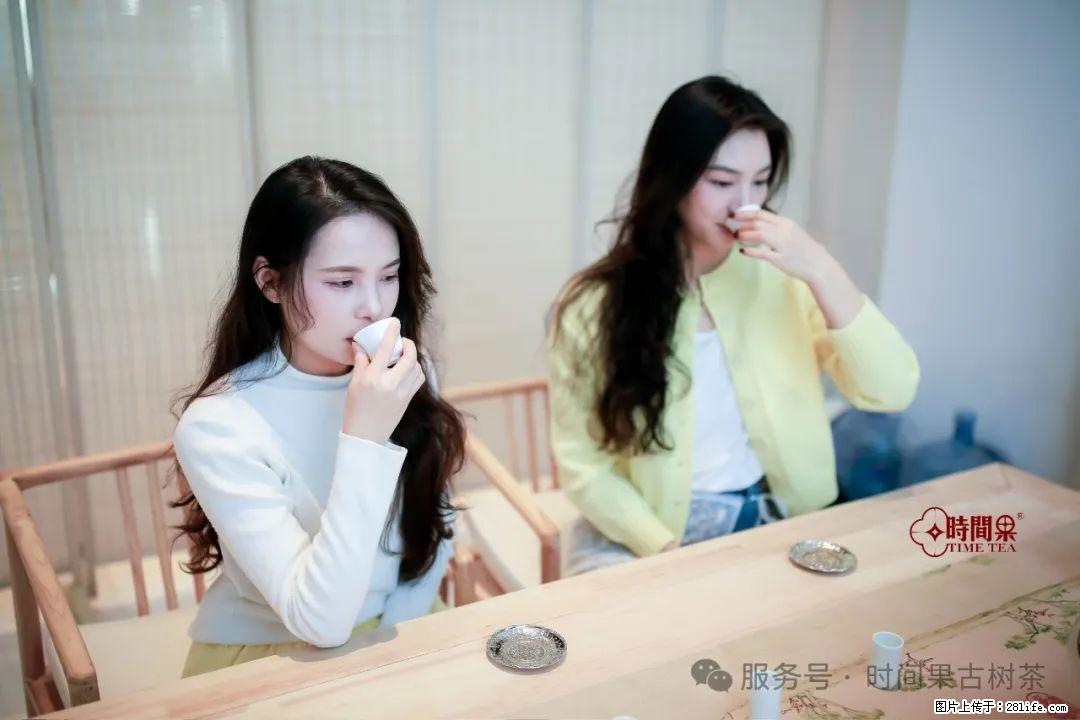 时间果百年古树龙珠普洱生茶 - 购物交流 - 云浮生活社区 - 云浮28生活网 yf.28life.net