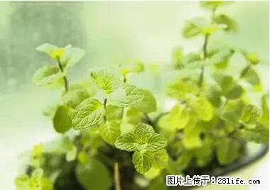 晕车、脚气、牙齿变黄、皮肤粗糙？学会这些三分钟搞定！ - 云浮生活资讯 - 云浮28生活网 yf.28life.net