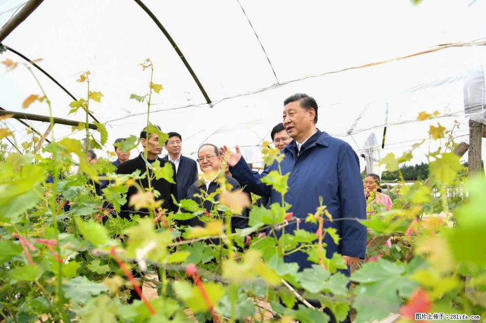 习近平赴广西考察调研 - 云浮生活资讯 - 云浮28生活网 yf.28life.net