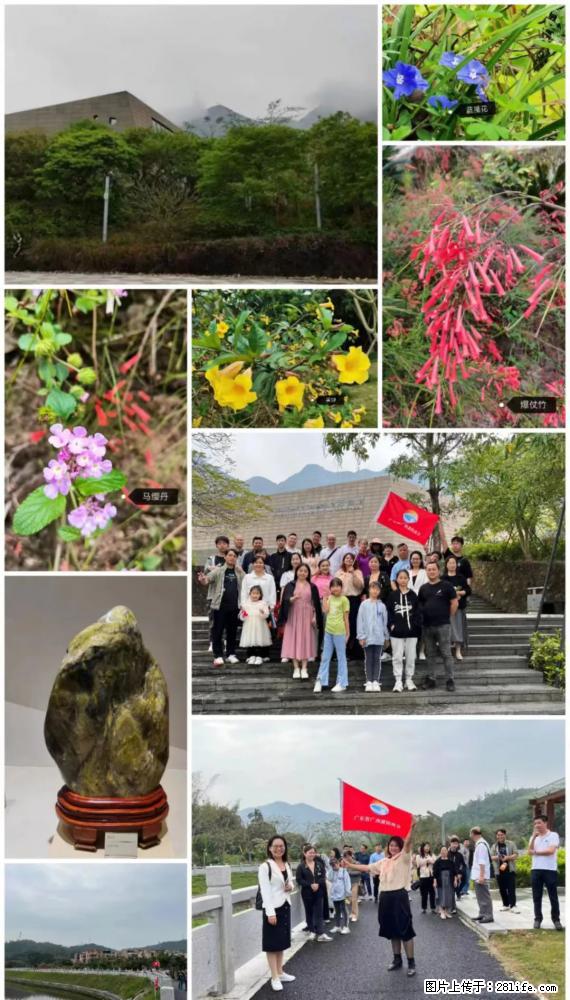 “粤灌文化 美好生活”油茶文化主题活动在广东深圳成功举办 - 云浮生活资讯 - 云浮28生活网 yf.28life.net