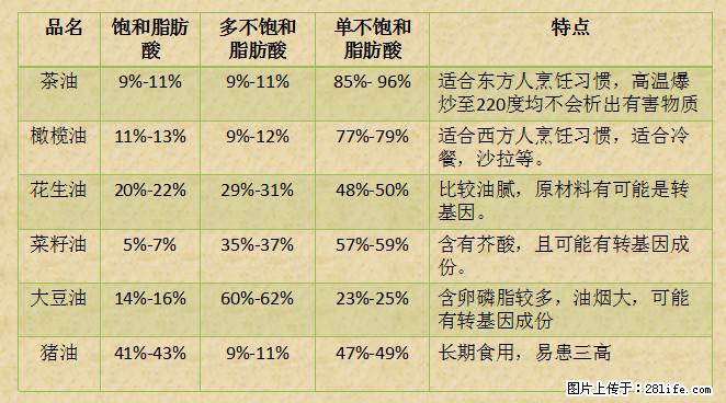 揭秘茶油的5大核心营养成分！被称为人体健康的“守护盾”！ - 云浮生活资讯 - 云浮28生活网 yf.28life.net