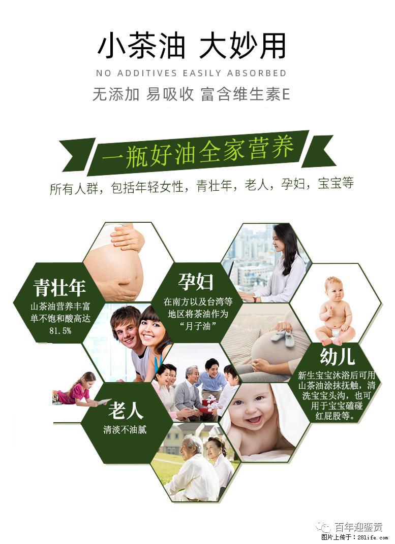 世界没有真相，只有认知，最好的食用油是中国的山茶油！ - 云浮生活资讯 - 云浮28生活网 yf.28life.net