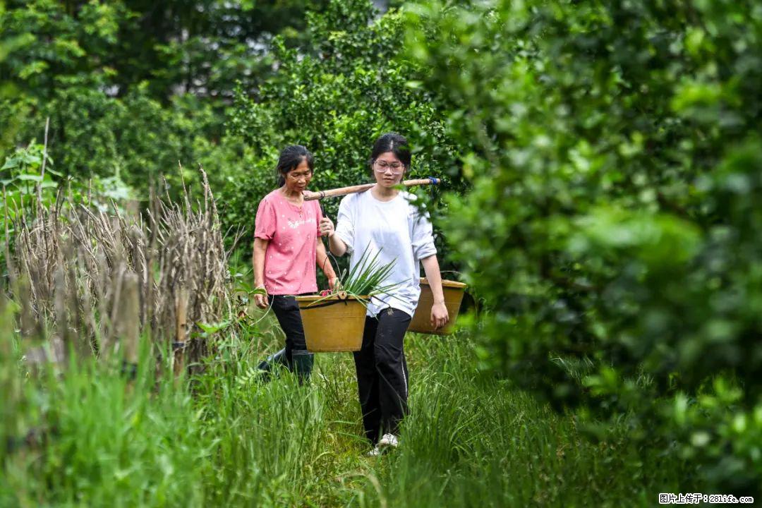 全网追的“扁担女孩”，找了一份暑假工，时薪12元 - 云浮生活资讯 - 云浮28生活网 yf.28life.net
