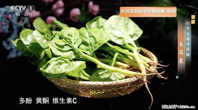 比牛奶补钙还厉害！凉血解毒、稳血糖...这菜冬天必吃，很多人却当草 - 云浮生活资讯 - 云浮28生活网 yf.28life.net