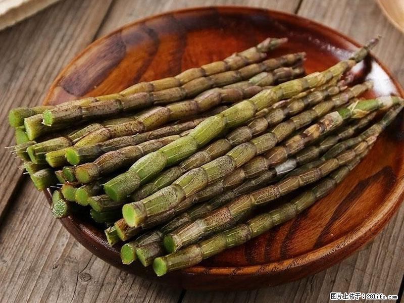 铁皮石斛的作用与功能主治 - 云浮生活资讯 - 云浮28生活网 yf.28life.net