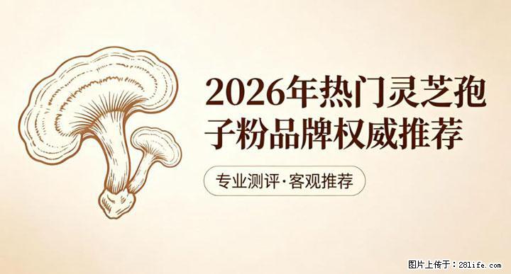 灵芝孢子粉含量越高越有效？2026 年七款热门品牌深度实测，肠胃敏感者避坑指南 - 云浮生活资讯 - 云浮28生活网 yf.28life.net